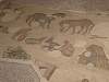 Mosaics Museum-06.jpg